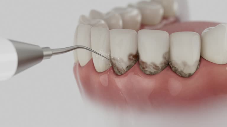 Reliable Dental contractor in Oak Hill, FL by Dentist Open Now